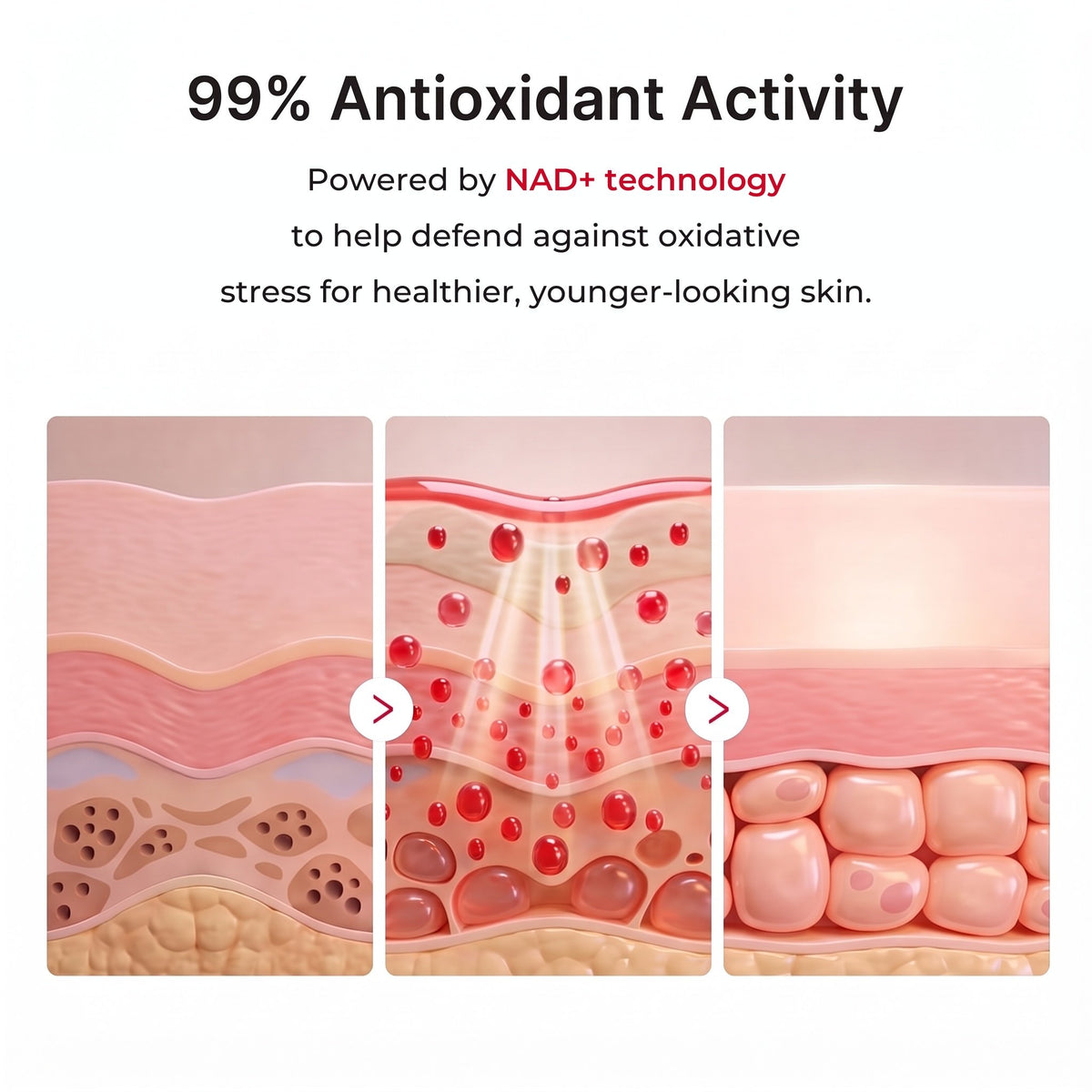 99% antioxidant activity